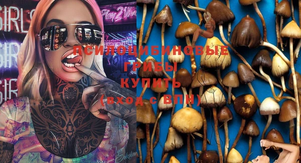 соль курить ск Краснослободск